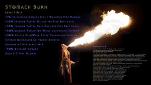 D2R Proposal 12 - Sorceress - Inferno - Stomach Burn - Fire Damage small